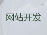 乌鲁木齐市网站开发服务公司@小视频营销推广，高端网站开发设计