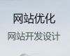 拉萨市网站定制服务#软件系统开发，定制建站