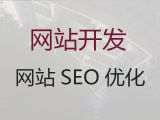 宁波市品牌网站开发设计%SEO网络推广，专业设计团队