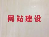 湖州市商城网站开发#AI数字人制作短视频，优秀开发团队