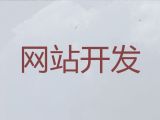 南京市专业网站开发服务%网站定制公司，服务可靠